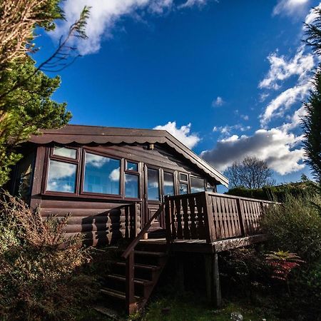 Log Cabin Nr Coed Y Brenin By Seren Short Stays Trawsfynydd Eksteriør bilde